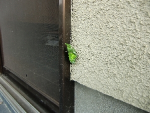 クリックすると拡大します